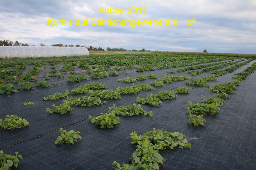 003Anbau 2017 am Hof